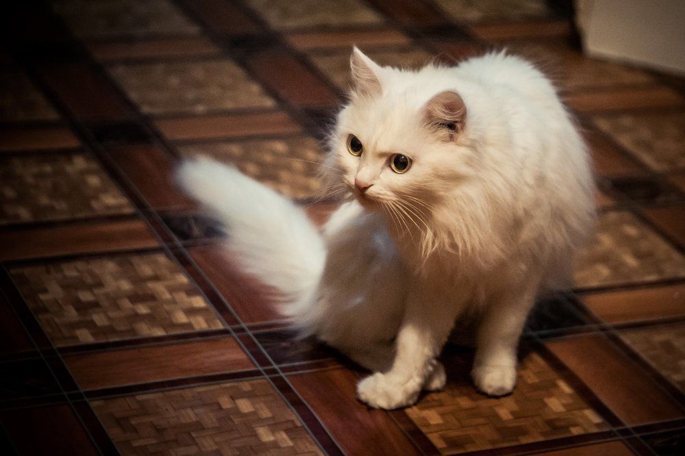 Photograph by Евгений Елисеев