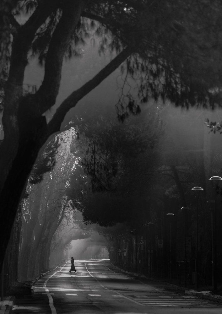 Остров Лидо. Туманный день