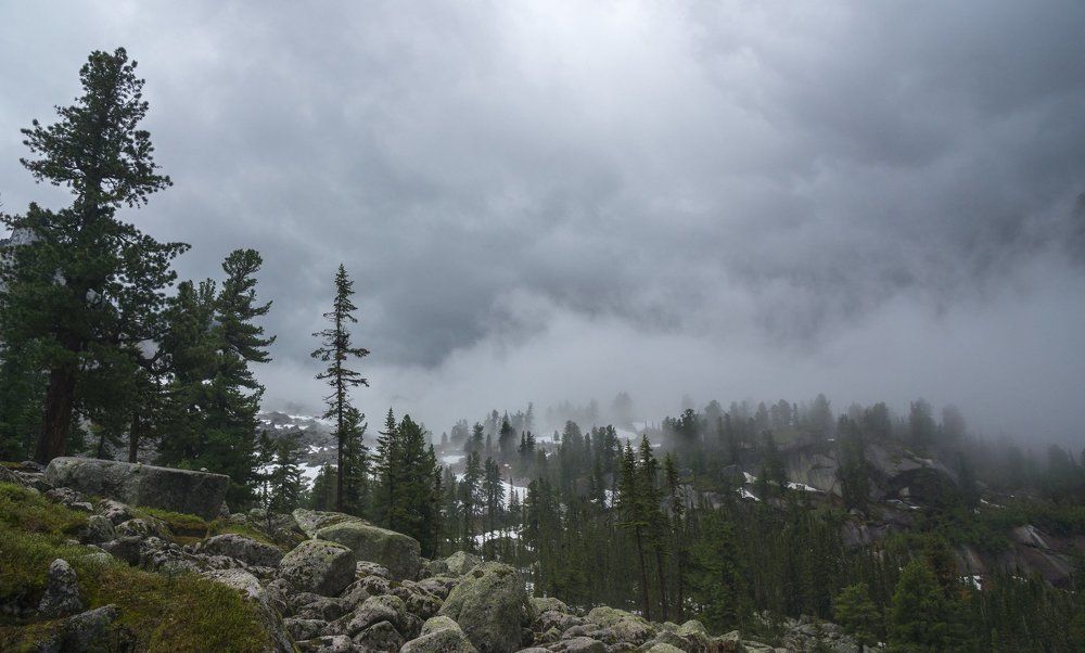 Ергаки в тумане