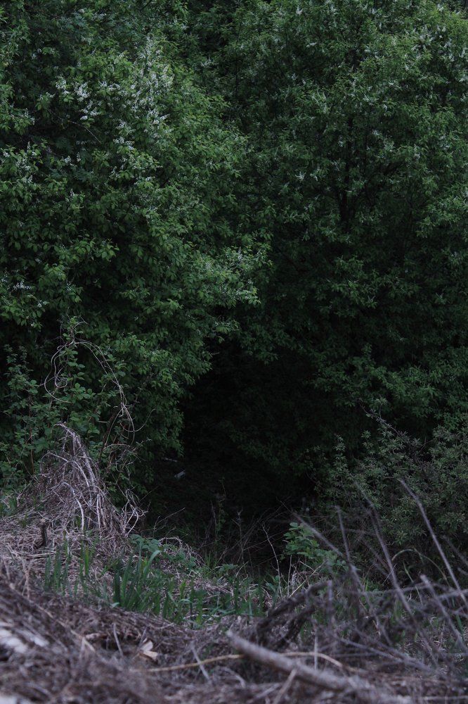 the entrance to another world