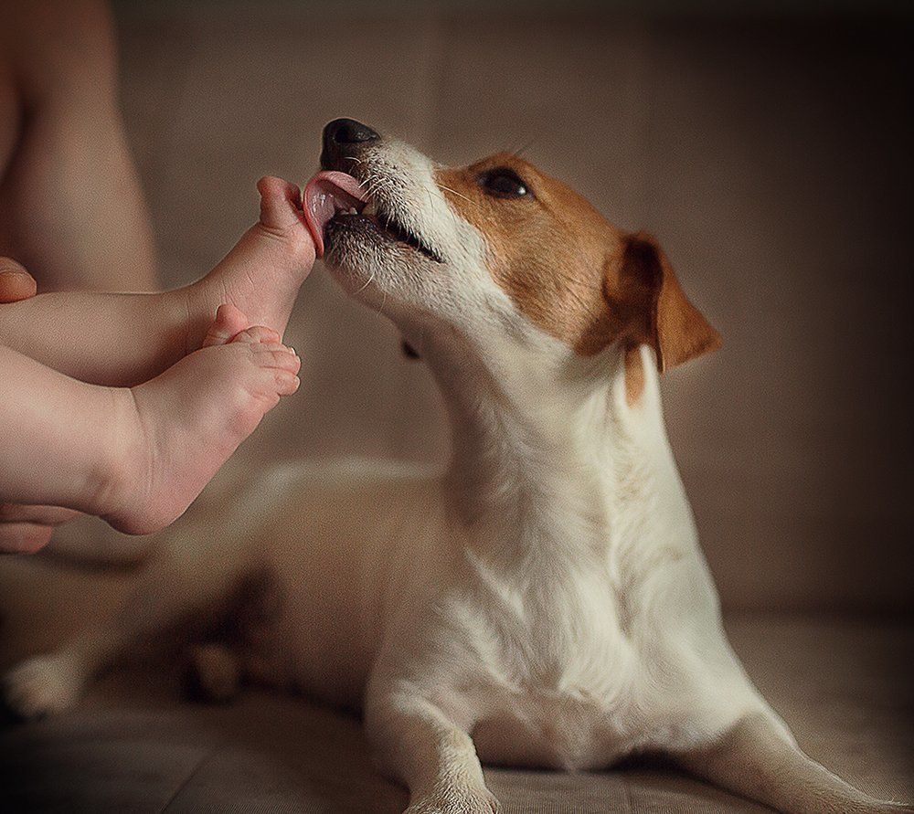 Сладкие пяточки