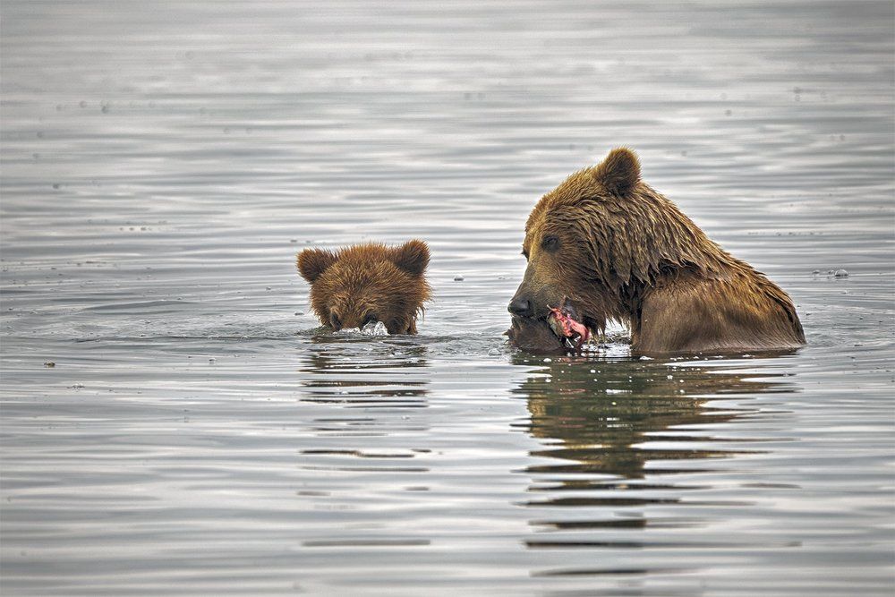 И как ты ее ловишь?