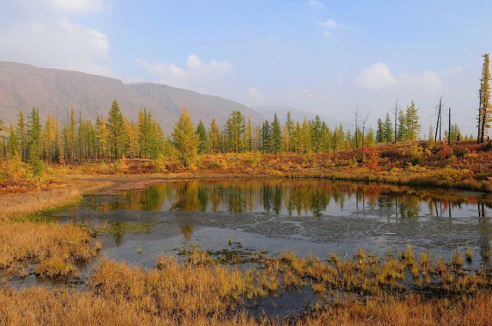 На пороге осень