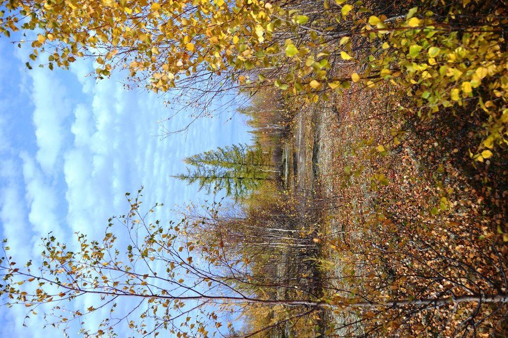 Краски осени