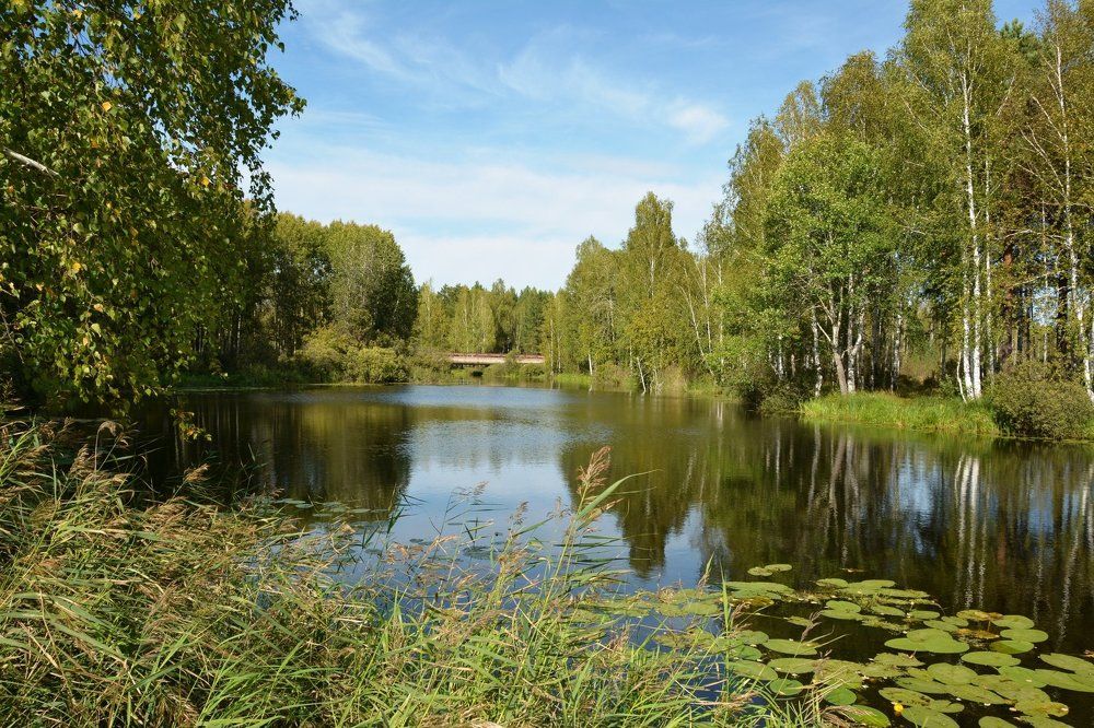 Природа Тюмени