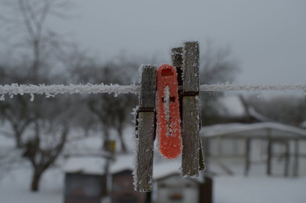 Photograph by Павловец Максим