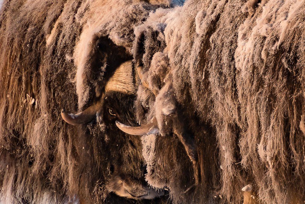 Противостояние