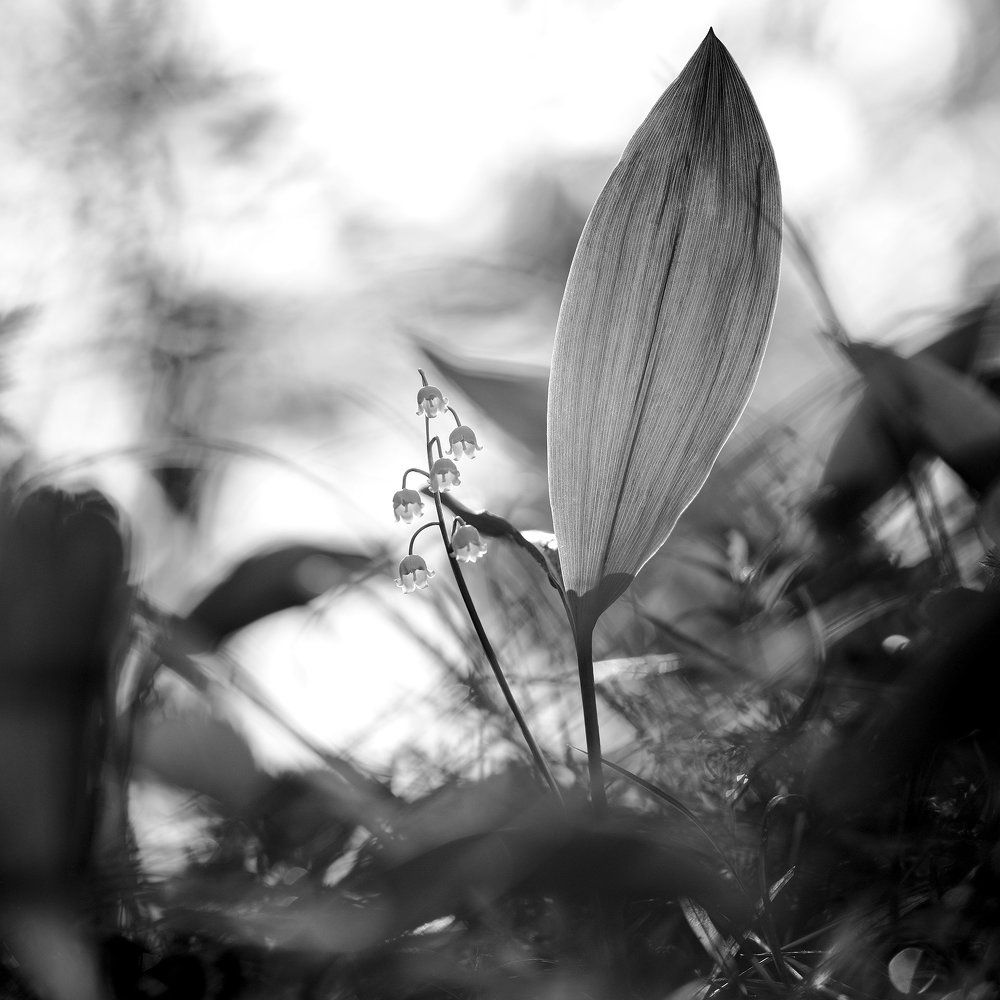 Под защитой