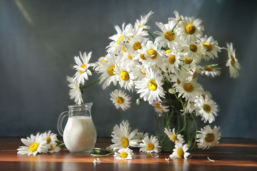 Ромашковое лето