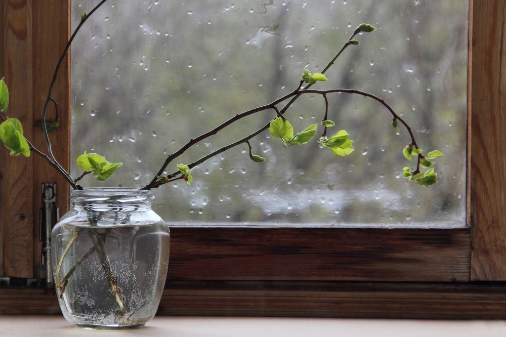 Дождливая весна