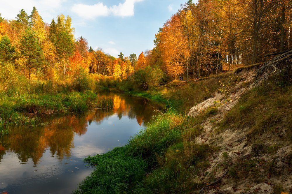 Вдвоем по золоту октября