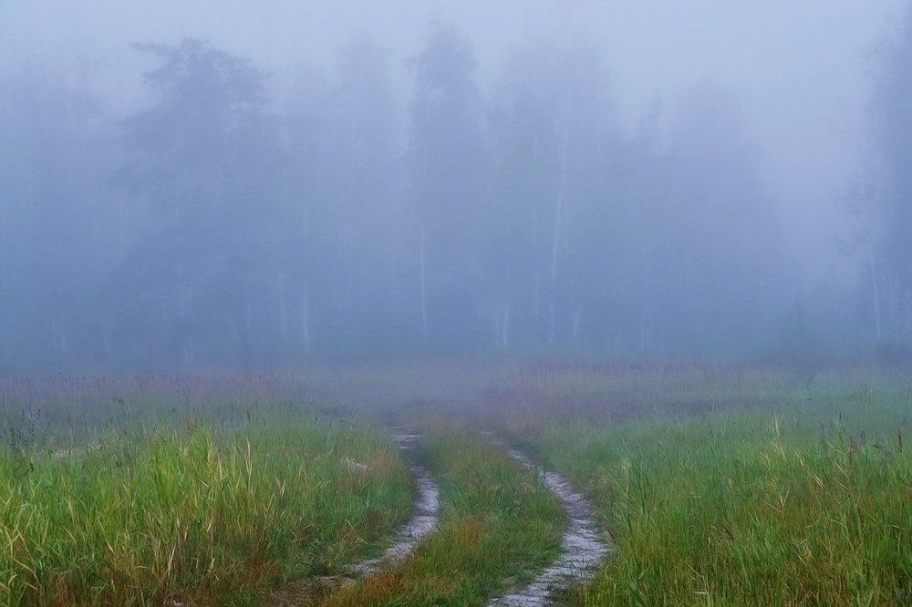 Утро туманное