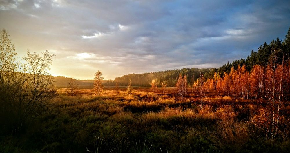 Рыжая осень