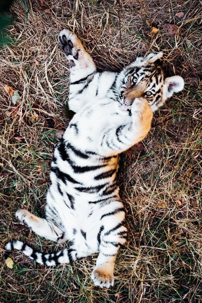 Игра в прятки