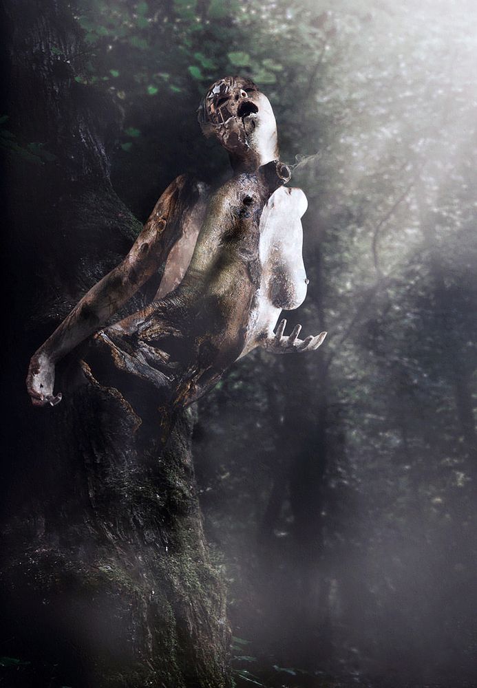 Photograph by Олег Русинович