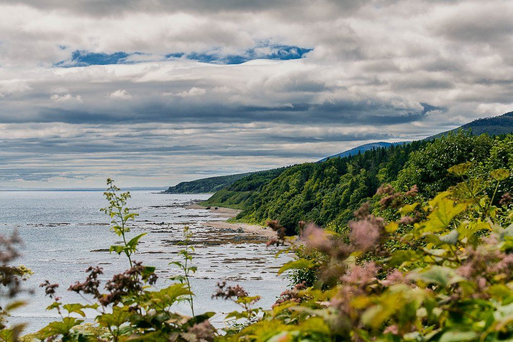 мой любимый Сахалин
