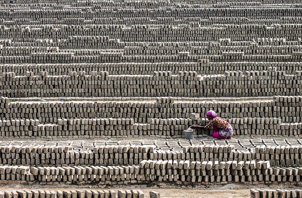 Colorlful life in a colorless frame