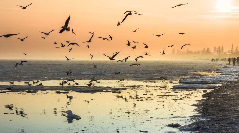 Вечерний полет