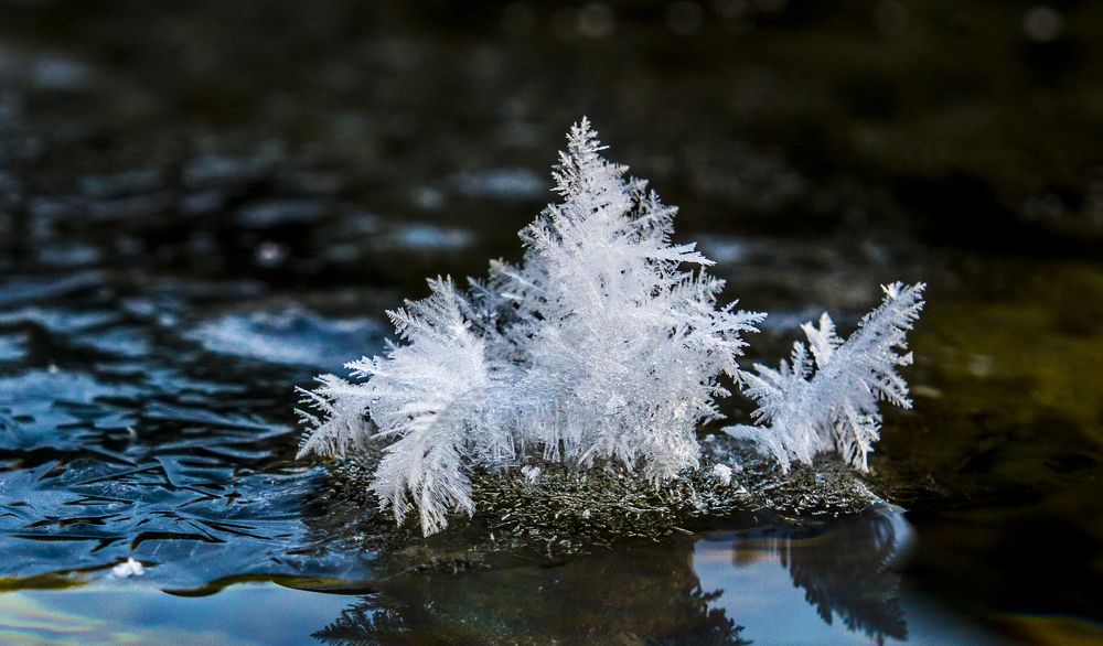 снежный кораблик