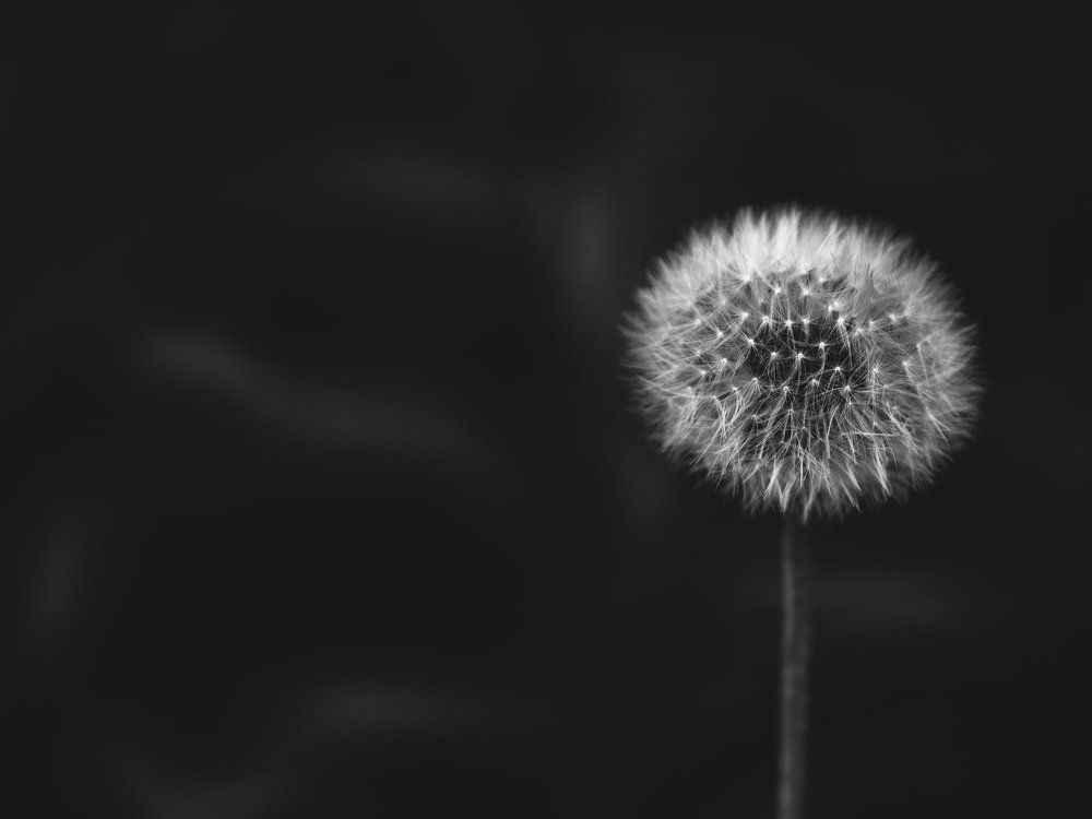 Портрет одинокого человека