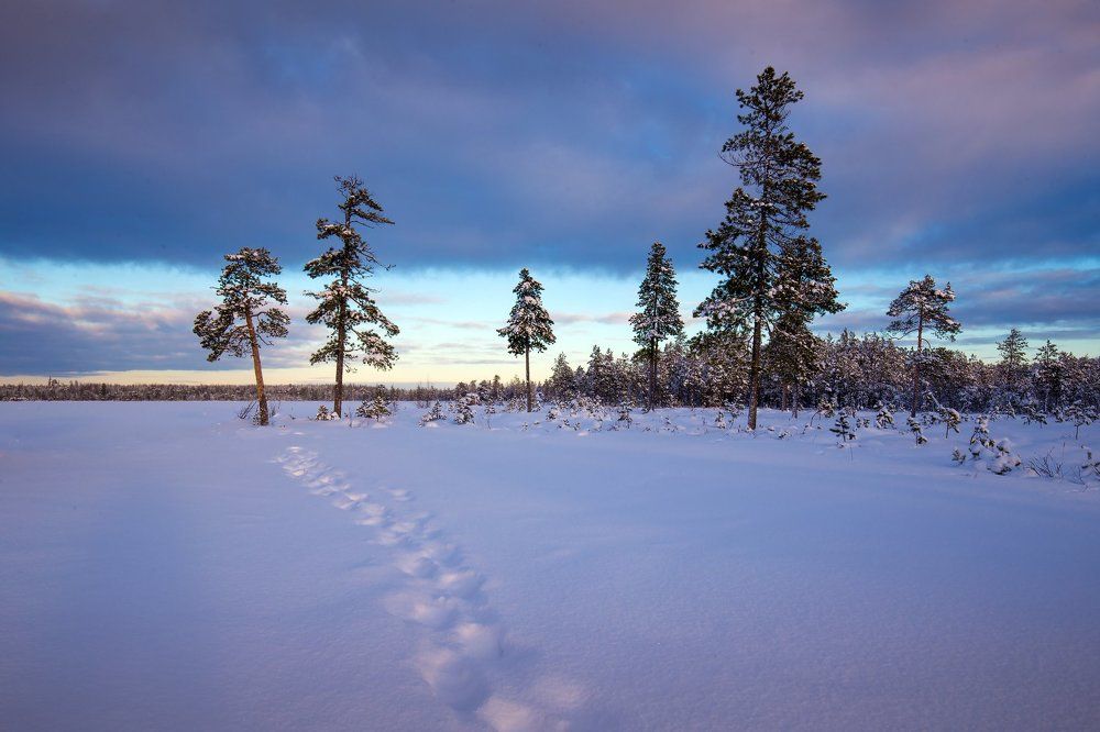 Короткий зимний северный день