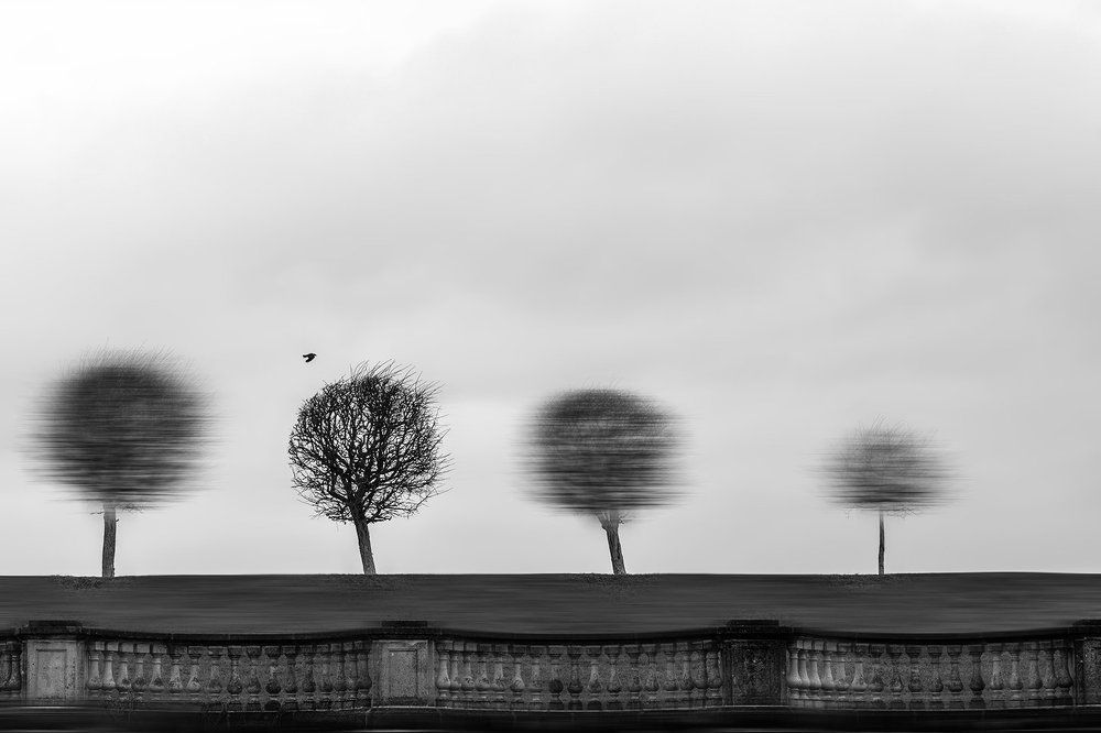 Ветер времени