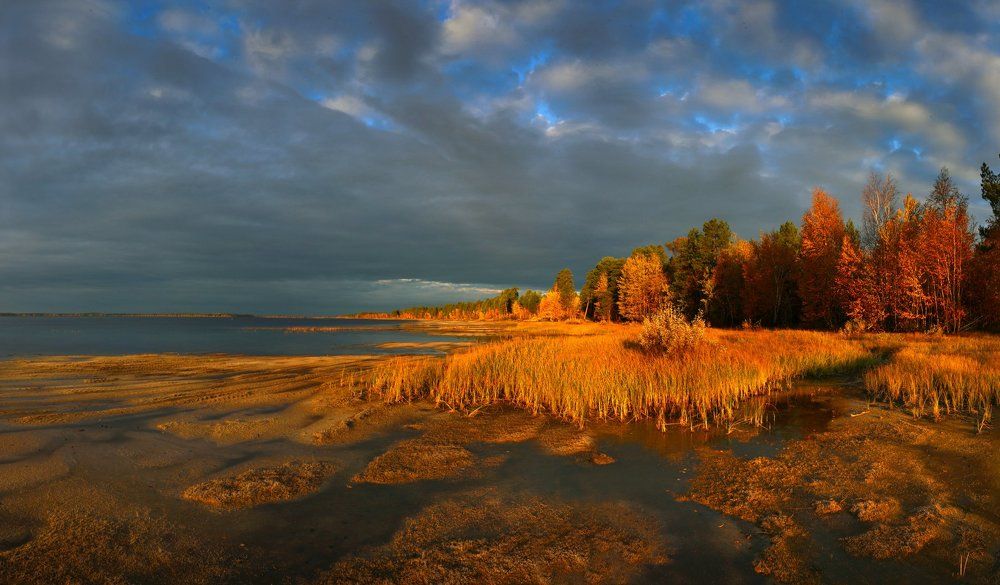 Рыжая осень