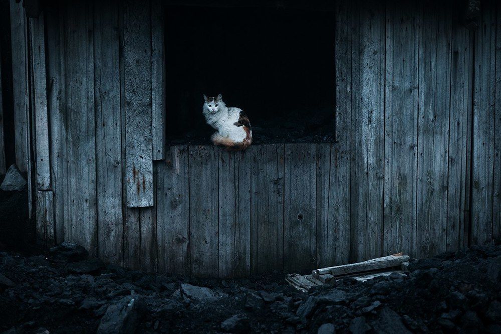 Хозяин угля