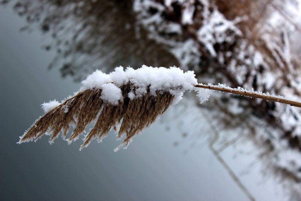 Photograph by Колесник Татьяна