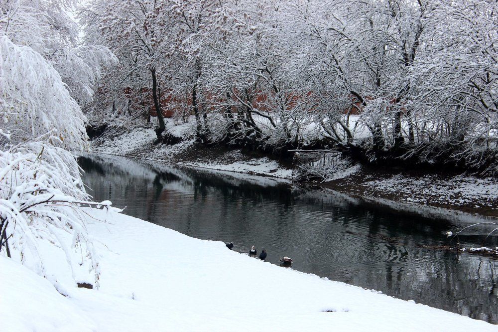 Photograph by Колесник Татьяна