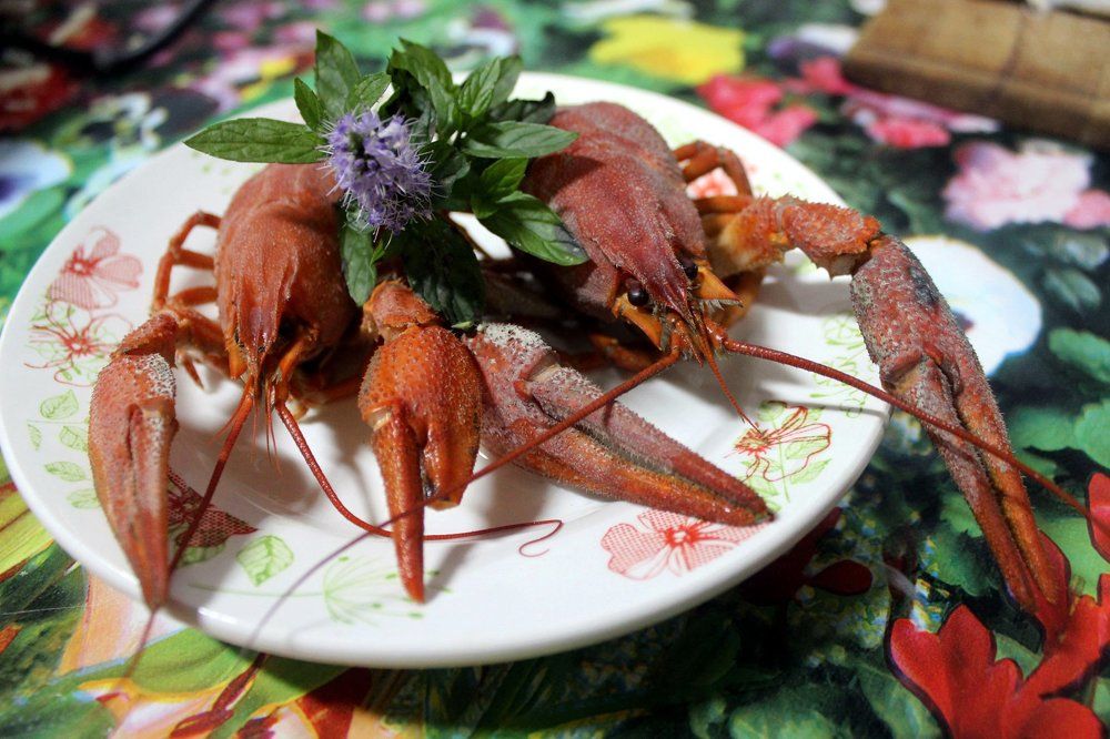 Photograph by Колесник Татьяна