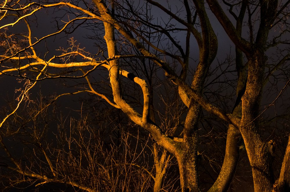 в свете фонарей