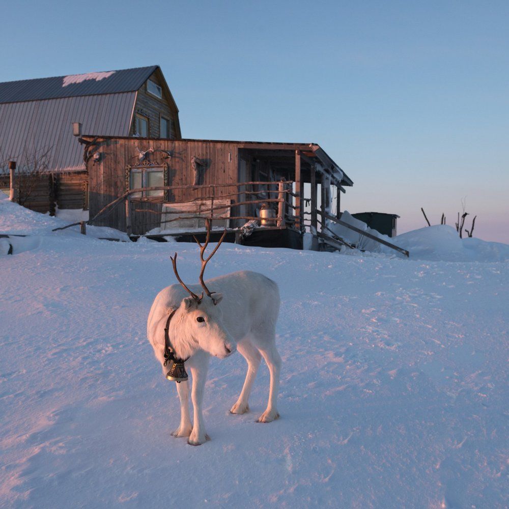 От Нарьян-Мара до устья Печоры