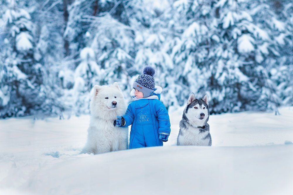 Photograph by Анопченко Ирина