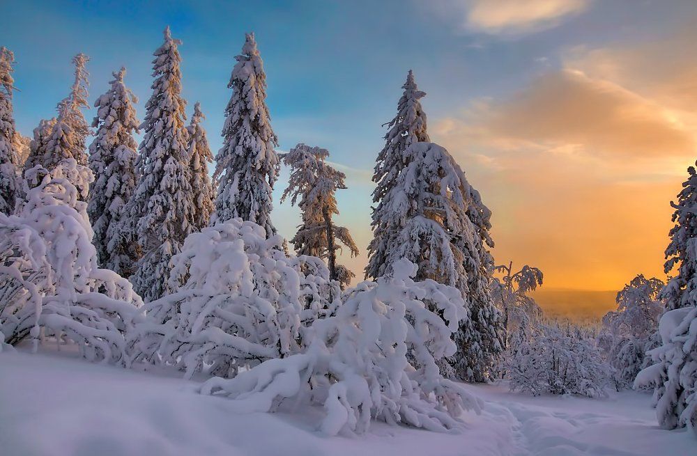 Рождественский сочельник...