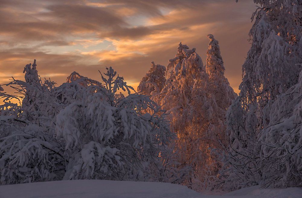 Опускался занавес заката...