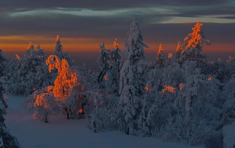 Лучей закатных нежное касание...