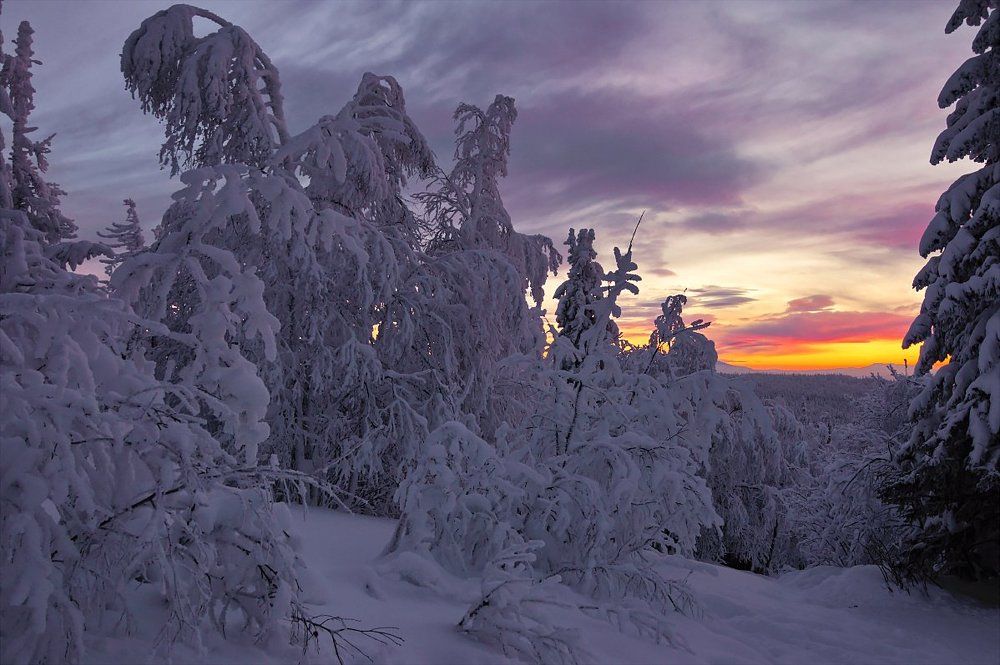 В ожидании заката...