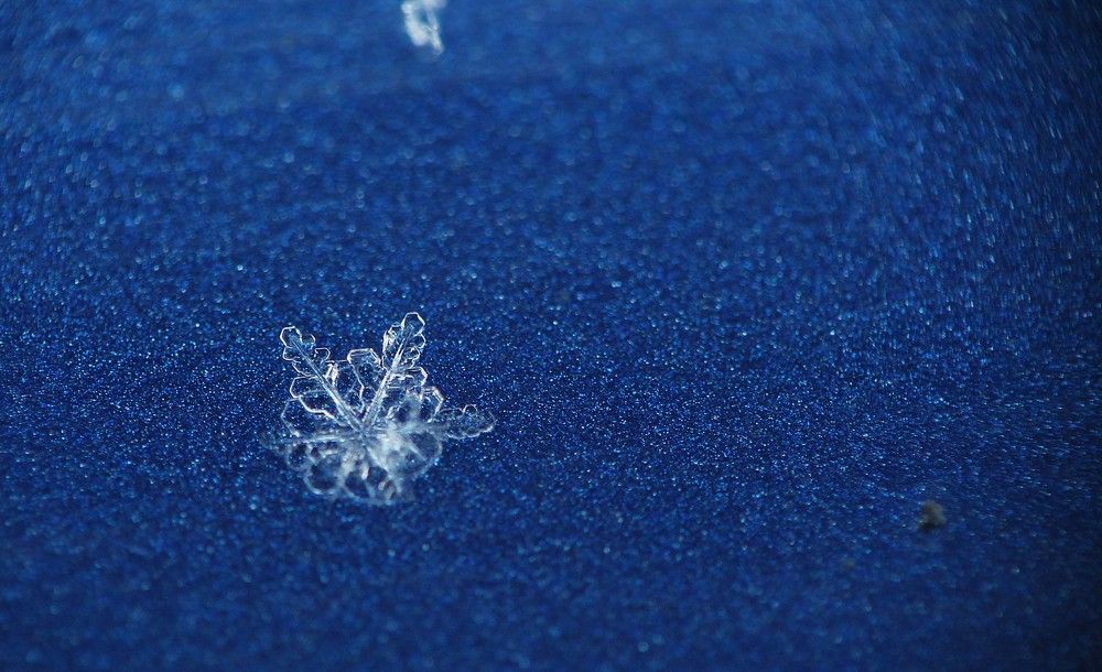 Photograph by Викулов Николай