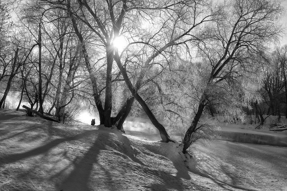 Черно-белый ажур зимы