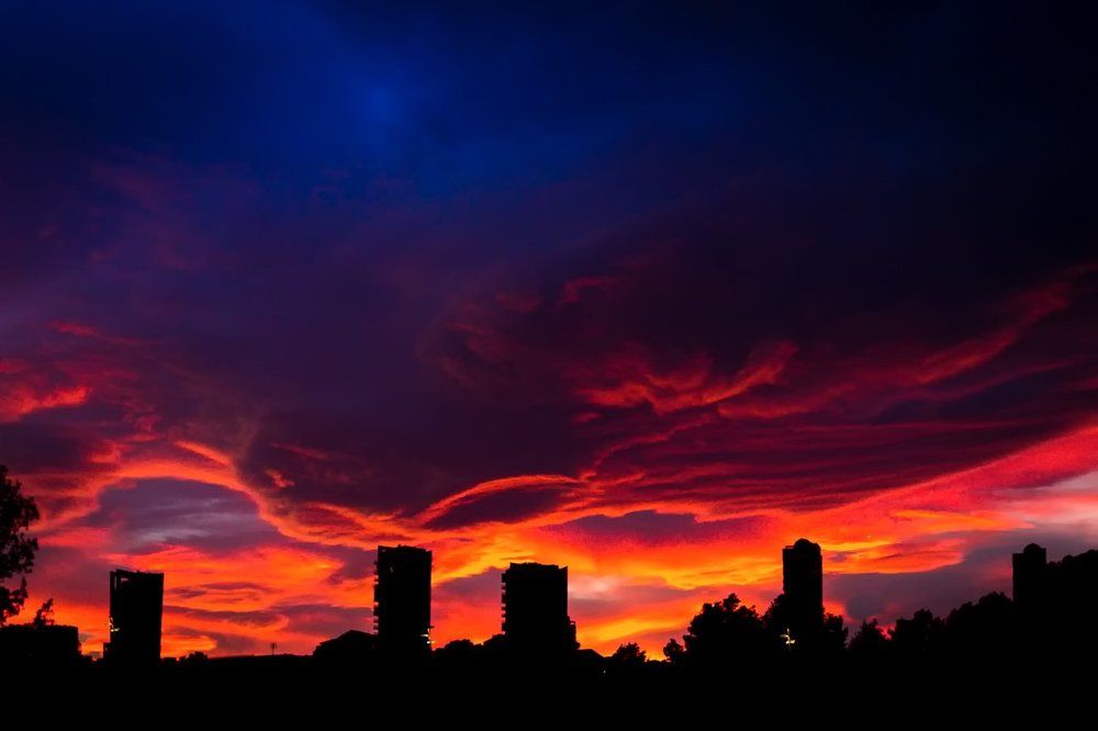 Обещание ветра.