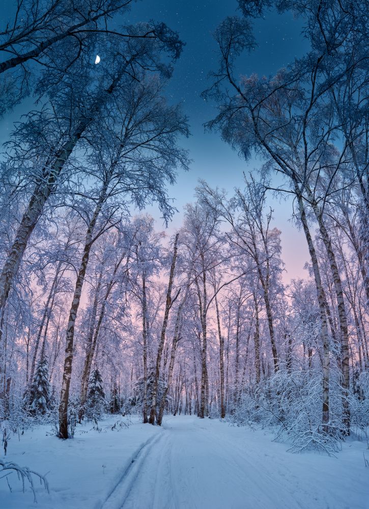 День-Вечер-Ночь