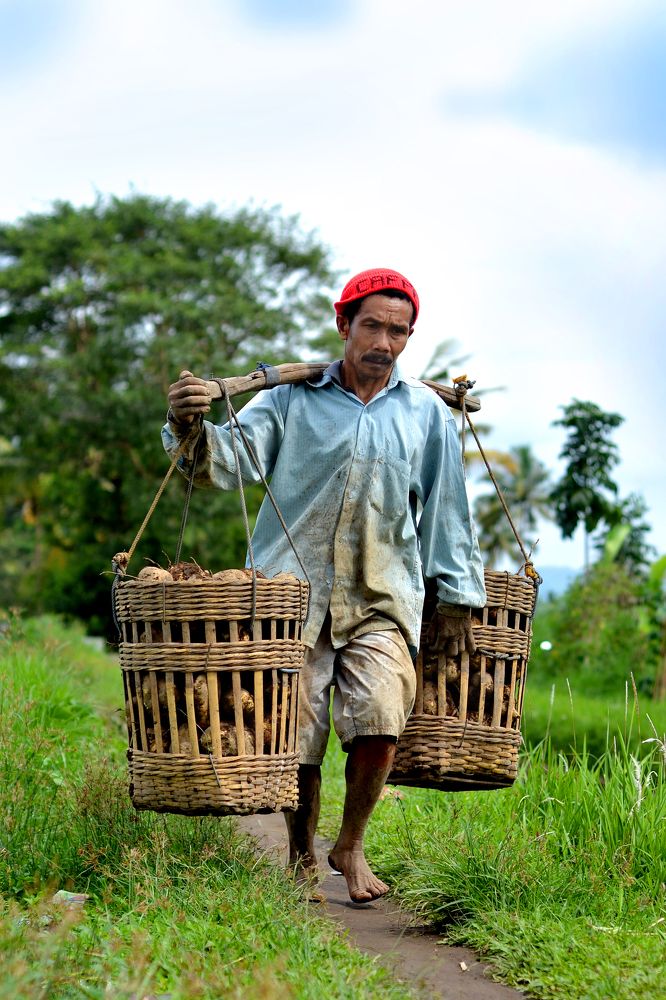 Memikul tanggung jawab