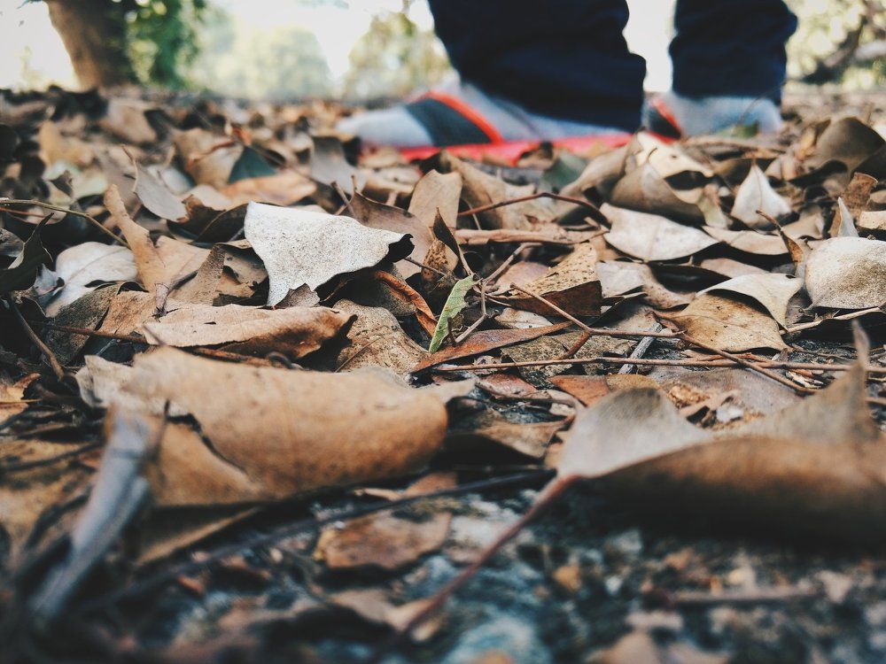 Arrival of autumn