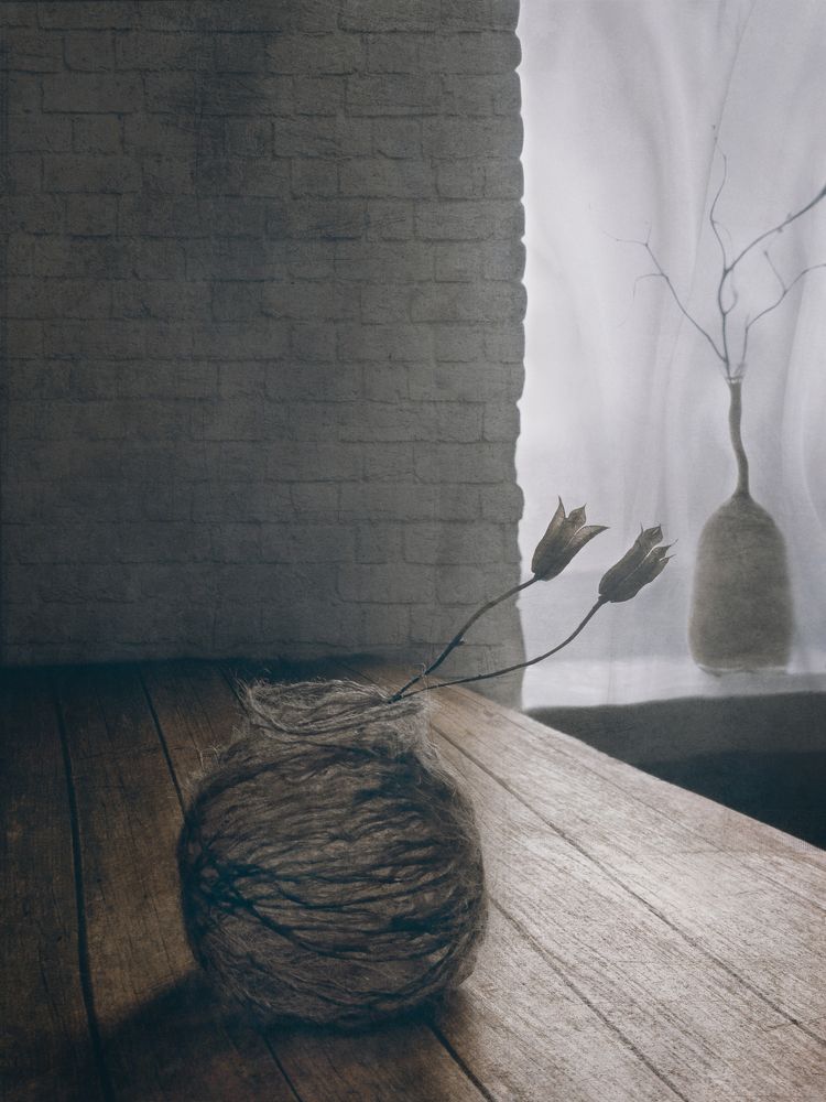 Фотография автора Елена Лысенко