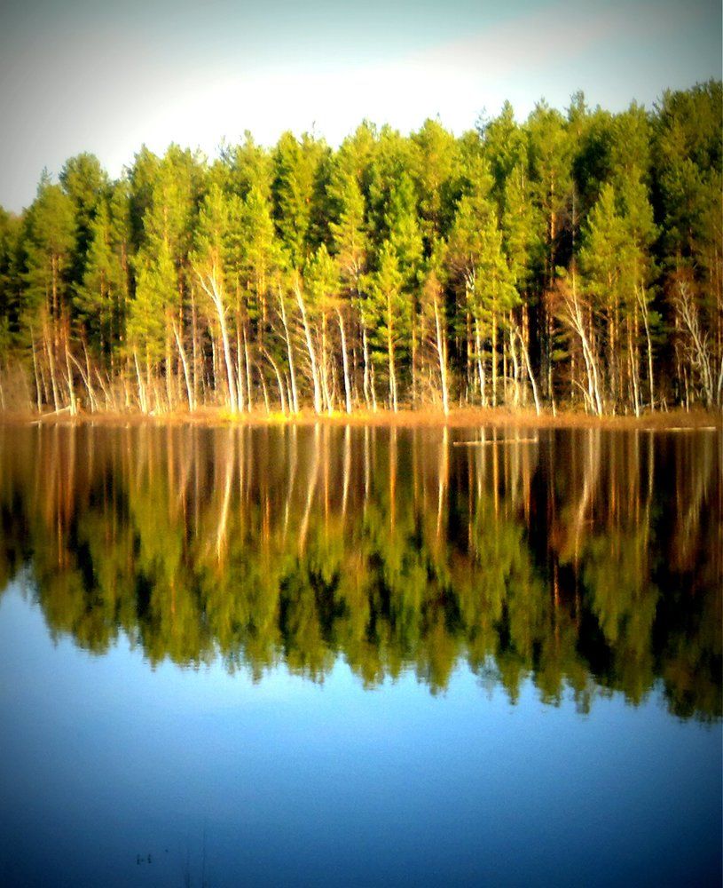 река Учинья
