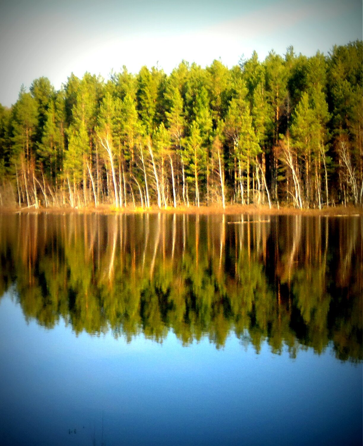 река Учинья