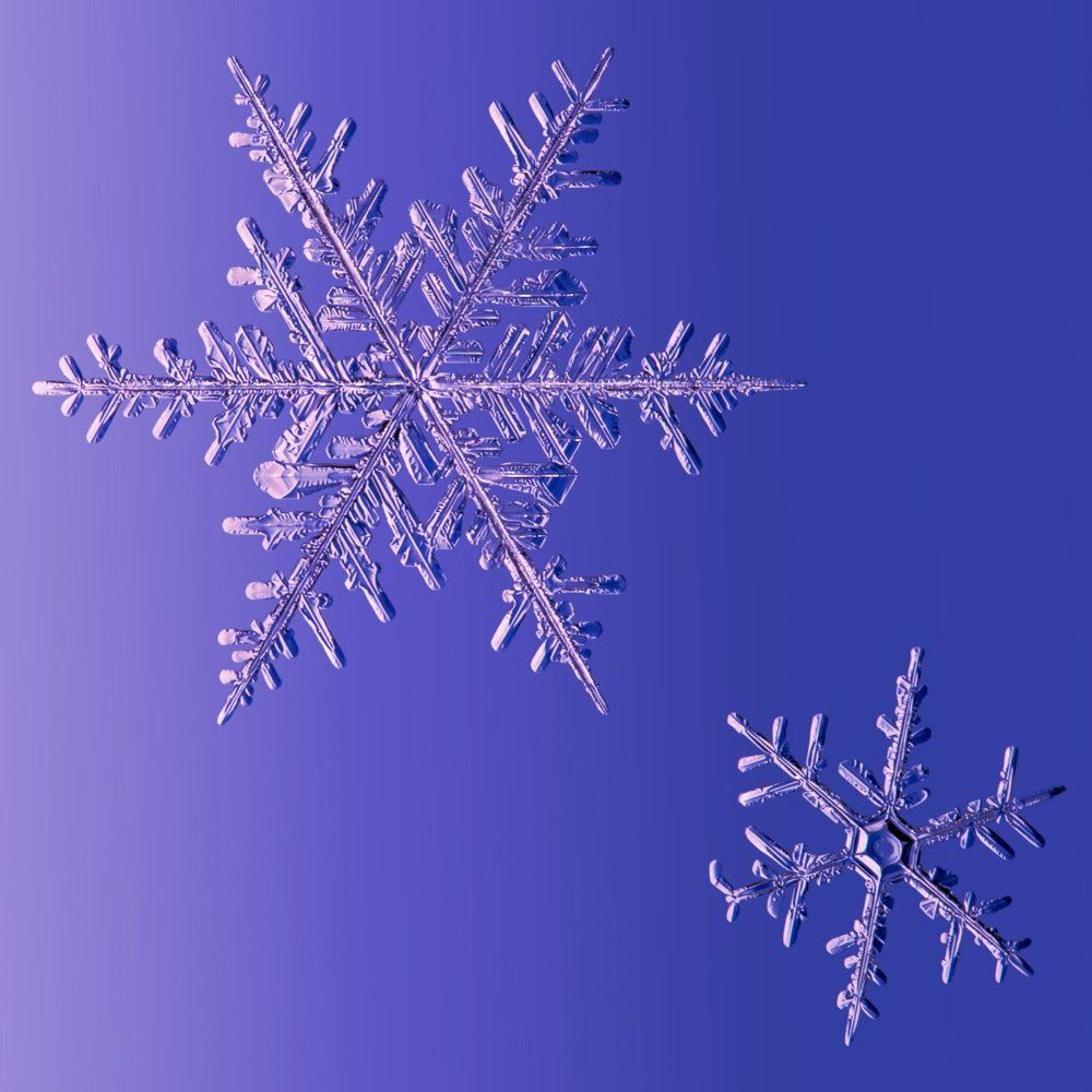Две снежинки
