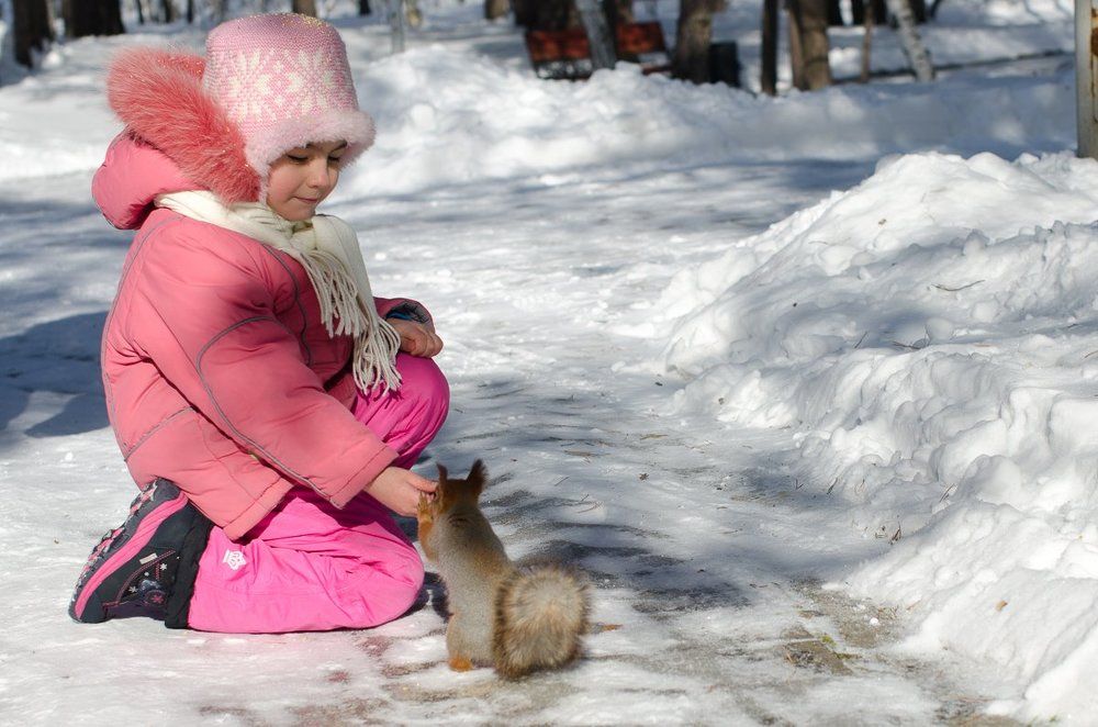 Photograph by Евгений Никифоров