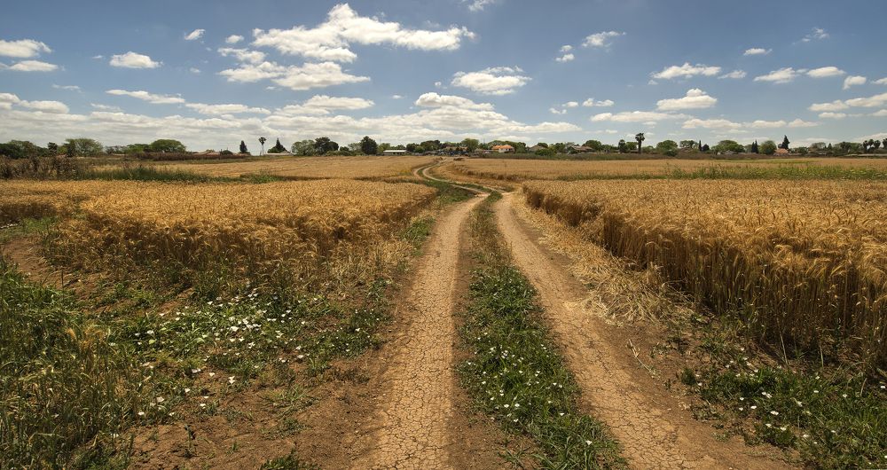 -дорога к дому-